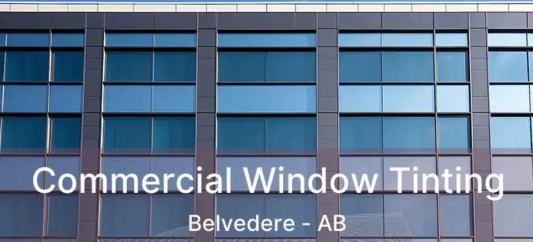 Commercial Window Tinting Belvedere - AB