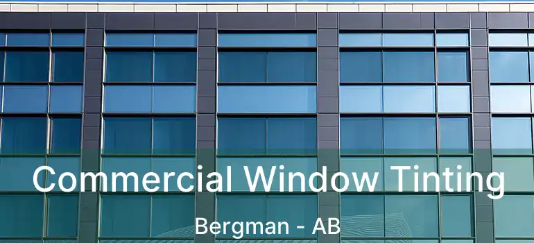  Commercial Window Tinting Bergman - AB