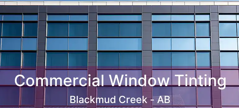  Commercial Window Tinting Blackmud Creek - AB