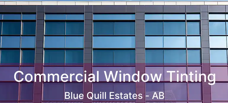  Commercial Window Tinting Blue Quill Estates - AB