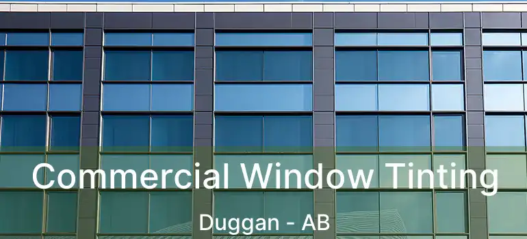  Commercial Window Tinting Duggan - AB