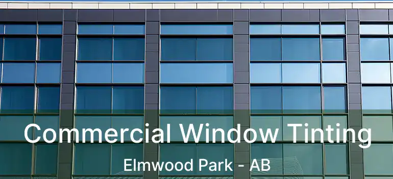  Commercial Window Tinting Elmwood Park - AB