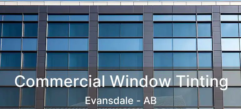  Commercial Window Tinting Evansdale - AB