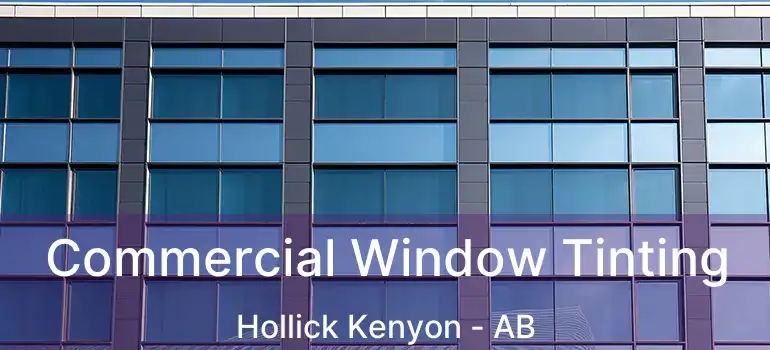  Commercial Window Tinting Hollick Kenyon - AB
