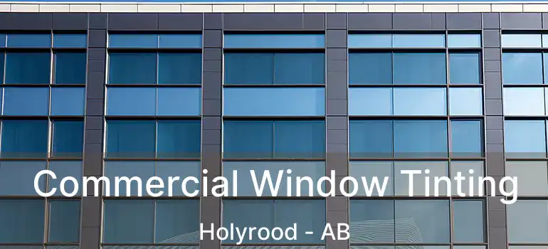 Commercial Window Tinting Holyrood - AB