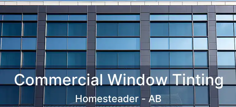  Commercial Window Tinting Homesteader - AB