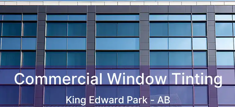  Commercial Window Tinting King Edward Park - AB