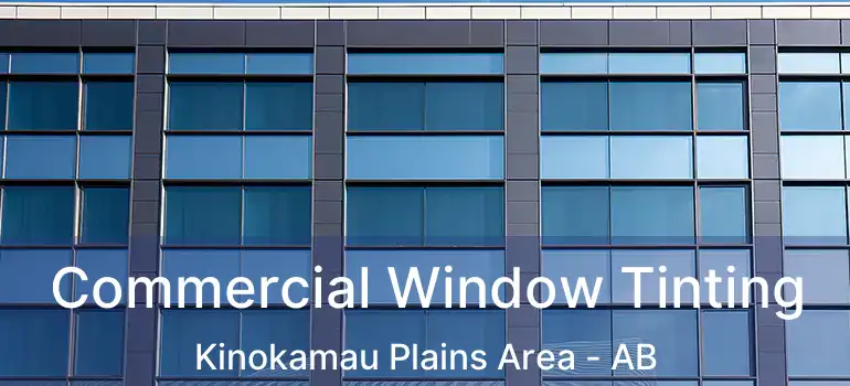  Commercial Window Tinting Kinokamau Plains Area - AB