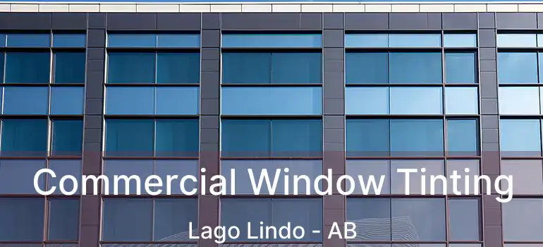  Commercial Window Tinting Lago Lindo - AB