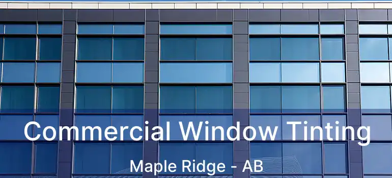  Commercial Window Tinting Maple Ridge - AB