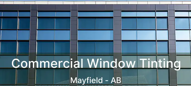  Commercial Window Tinting Mayfield - AB