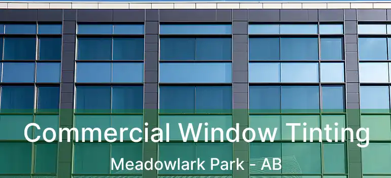  Commercial Window Tinting Meadowlark Park - AB