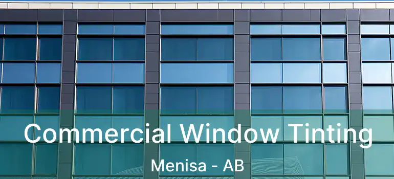  Commercial Window Tinting Menisa - AB
