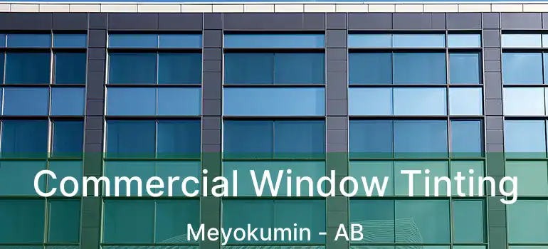  Commercial Window Tinting Meyokumin - AB