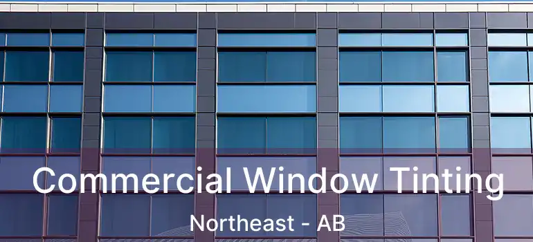  Commercial Window Tinting Northeast - AB