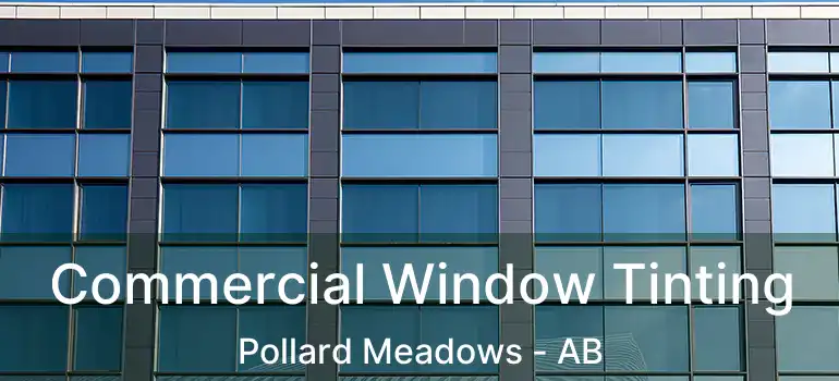  Commercial Window Tinting Pollard Meadows - AB