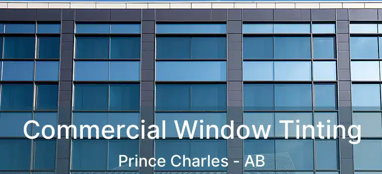  Commercial Window Tinting Prince Charles - AB