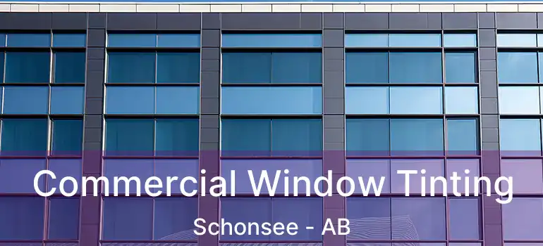  Commercial Window Tinting Schonsee - AB