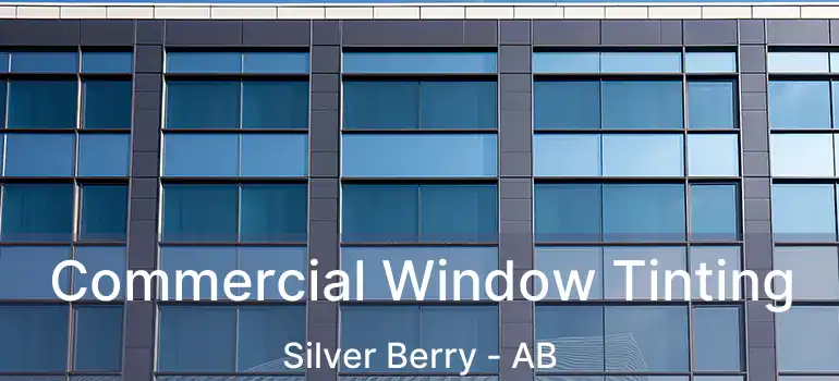  Commercial Window Tinting Silver Berry - AB