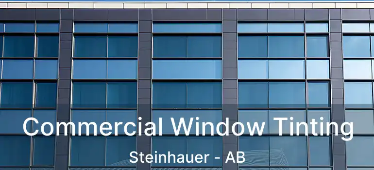  Commercial Window Tinting Steinhauer - AB