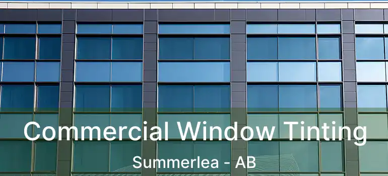  Commercial Window Tinting Summerlea - AB
