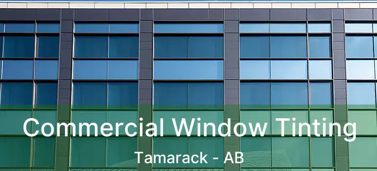 Commercial Window Tinting Tamarack - AB
