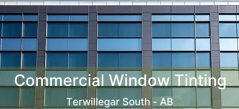  Commercial Window Tinting Terwillegar South - AB