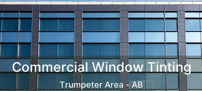  Commercial Window Tinting Trumpeter Area - AB