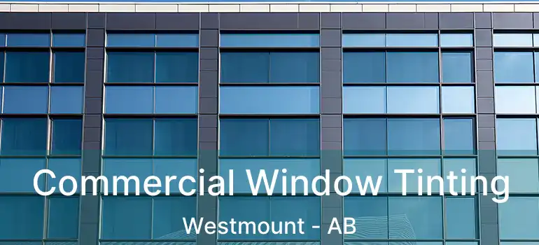  Commercial Window Tinting Westmount - AB