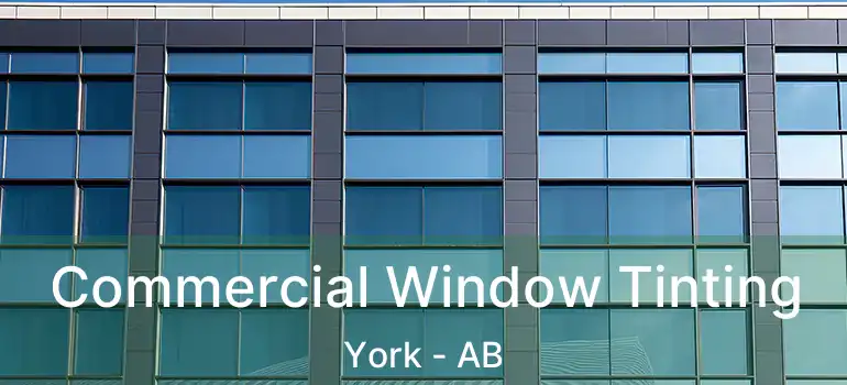  Commercial Window Tinting York - AB