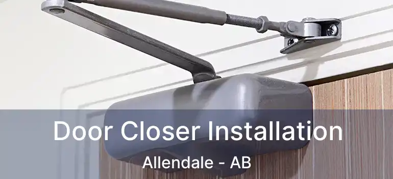  Door Closer Installation Allendale - AB