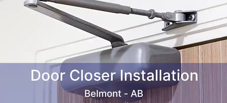  Door Closer Installation Belmont - AB