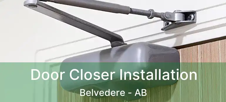  Door Closer Installation Belvedere - AB