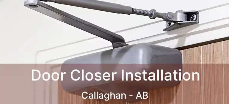  Door Closer Installation Callaghan - AB