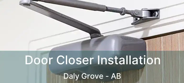  Door Closer Installation Daly Grove - AB