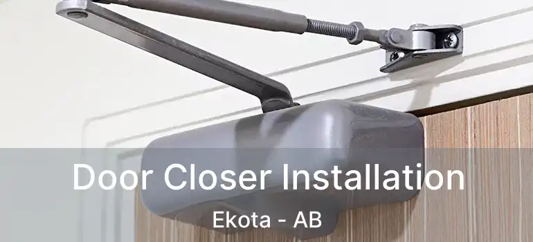  Door Closer Installation Ekota - AB