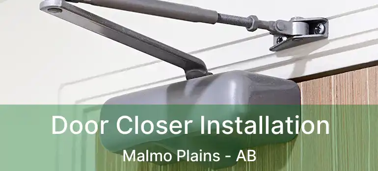  Door Closer Installation Malmo Plains - AB
