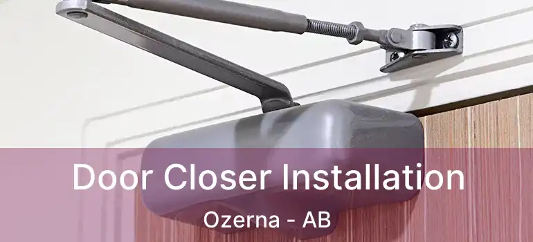  Door Closer Installation Ozerna - AB
