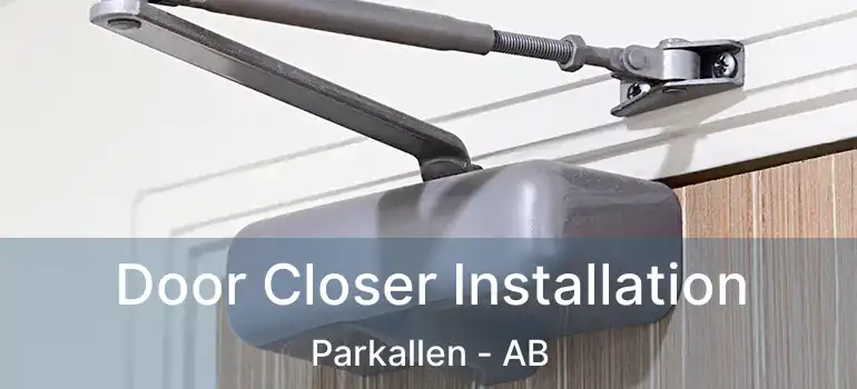  Door Closer Installation Parkallen - AB