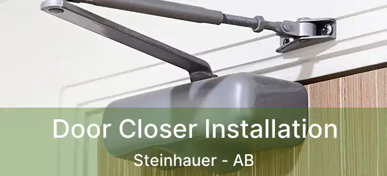  Door Closer Installation Steinhauer - AB