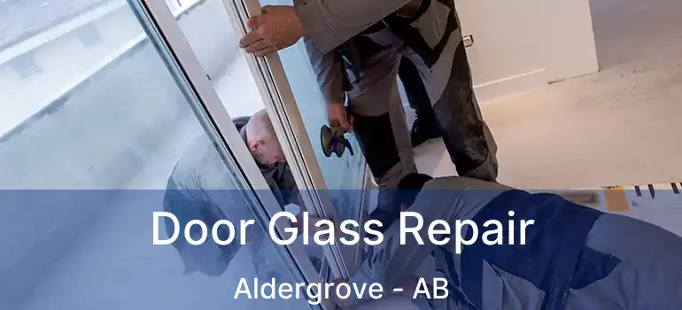  Door Glass Repair Aldergrove - AB