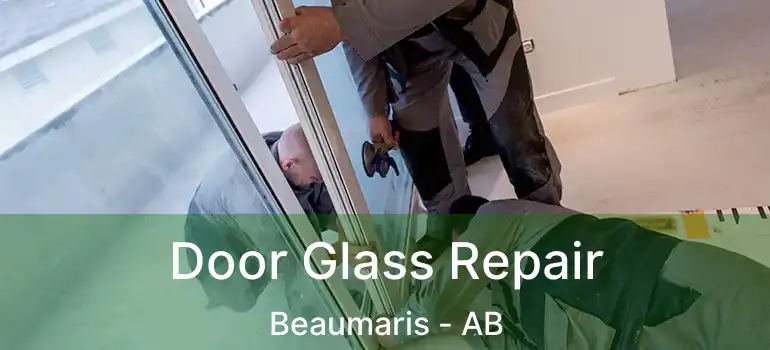  Door Glass Repair Beaumaris - AB