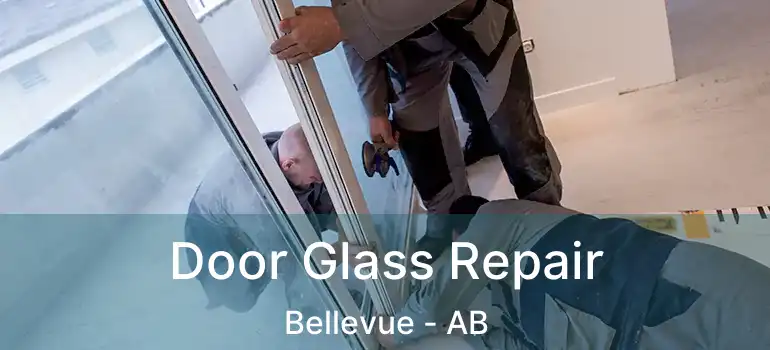  Door Glass Repair Bellevue - AB