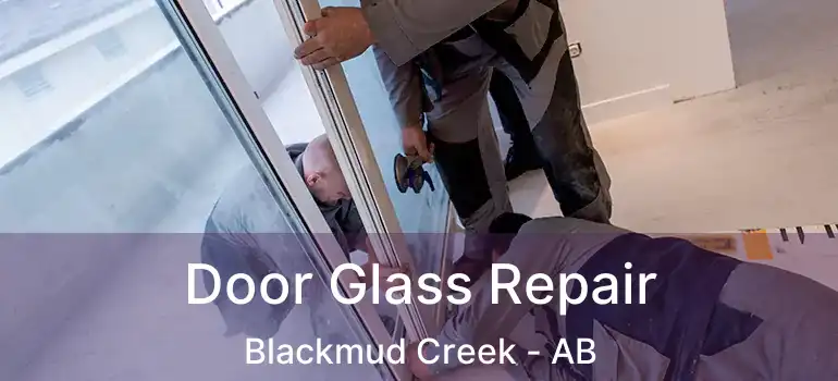  Door Glass Repair Blackmud Creek - AB