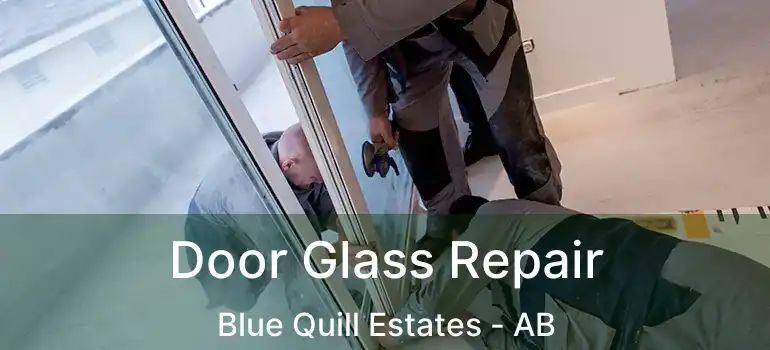  Door Glass Repair Blue Quill Estates - AB