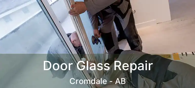  Door Glass Repair Cromdale - AB
