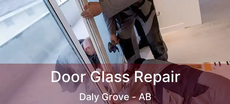  Door Glass Repair Daly Grove - AB