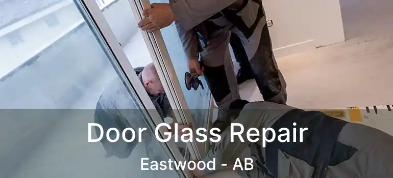  Door Glass Repair Eastwood - AB