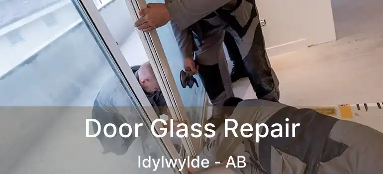  Door Glass Repair Idylwylde - AB