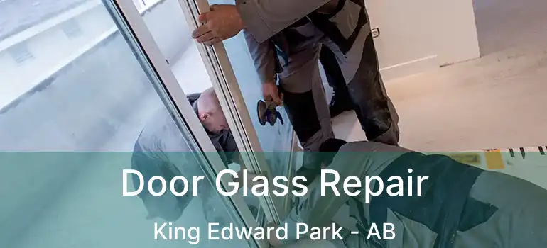  Door Glass Repair King Edward Park - AB